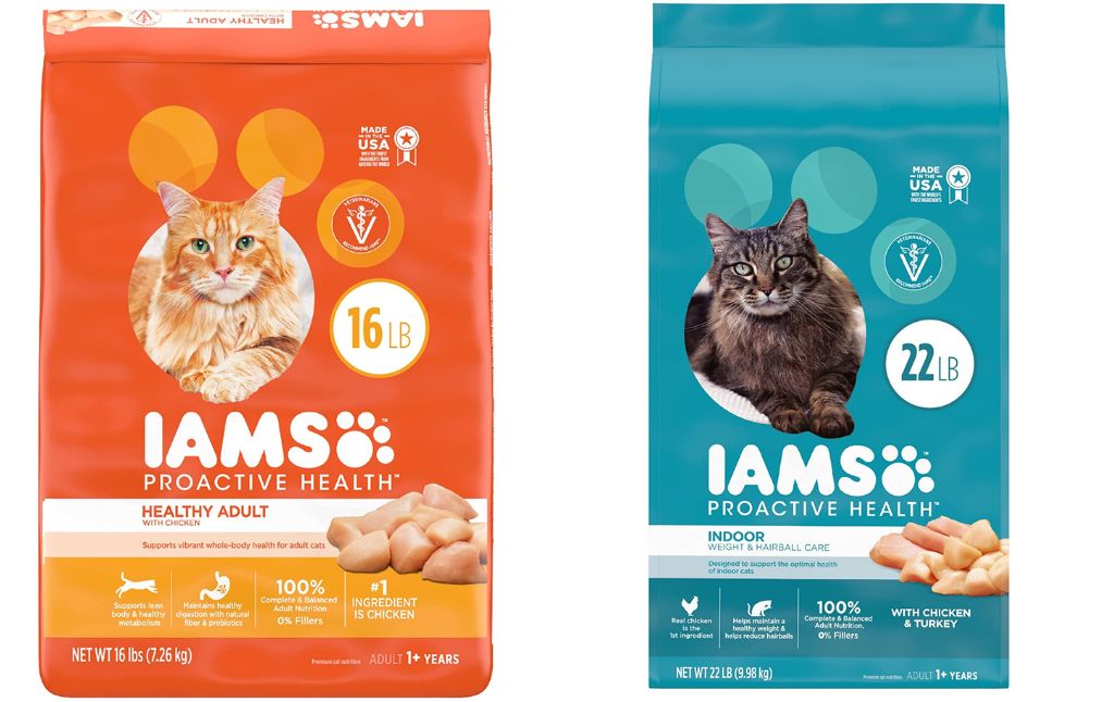 Iams proactive health cat food