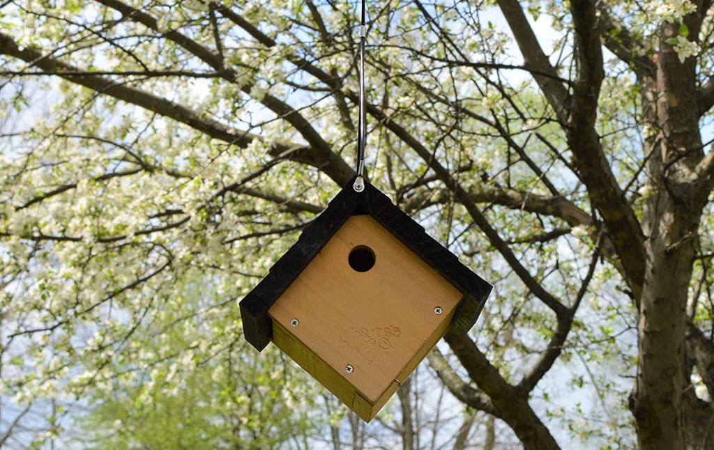 birdhouse