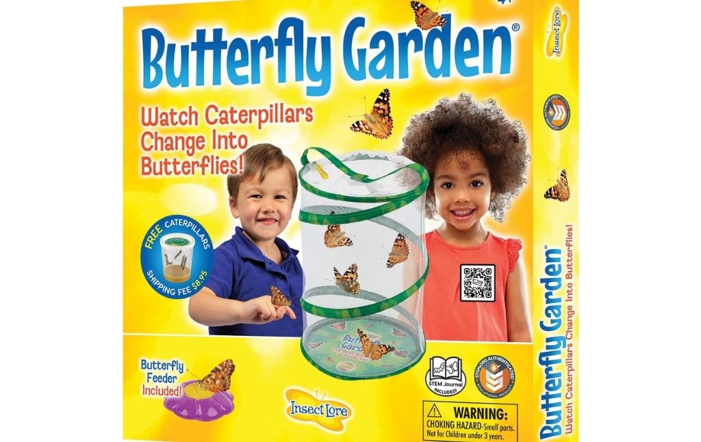 butterfly garden kit