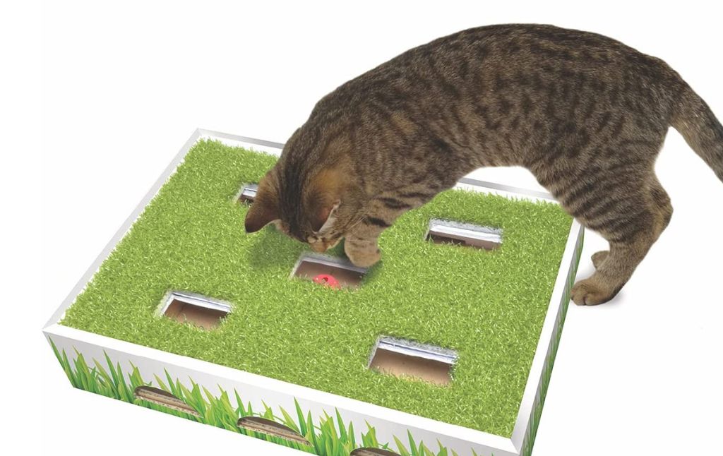 petstages cat scratcher