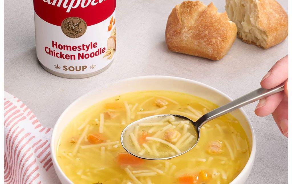 campbells homestyle chicken noodle