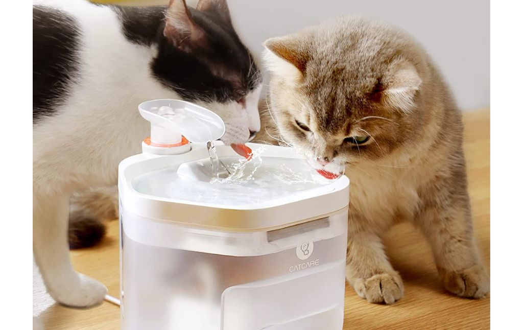 cat water fountain