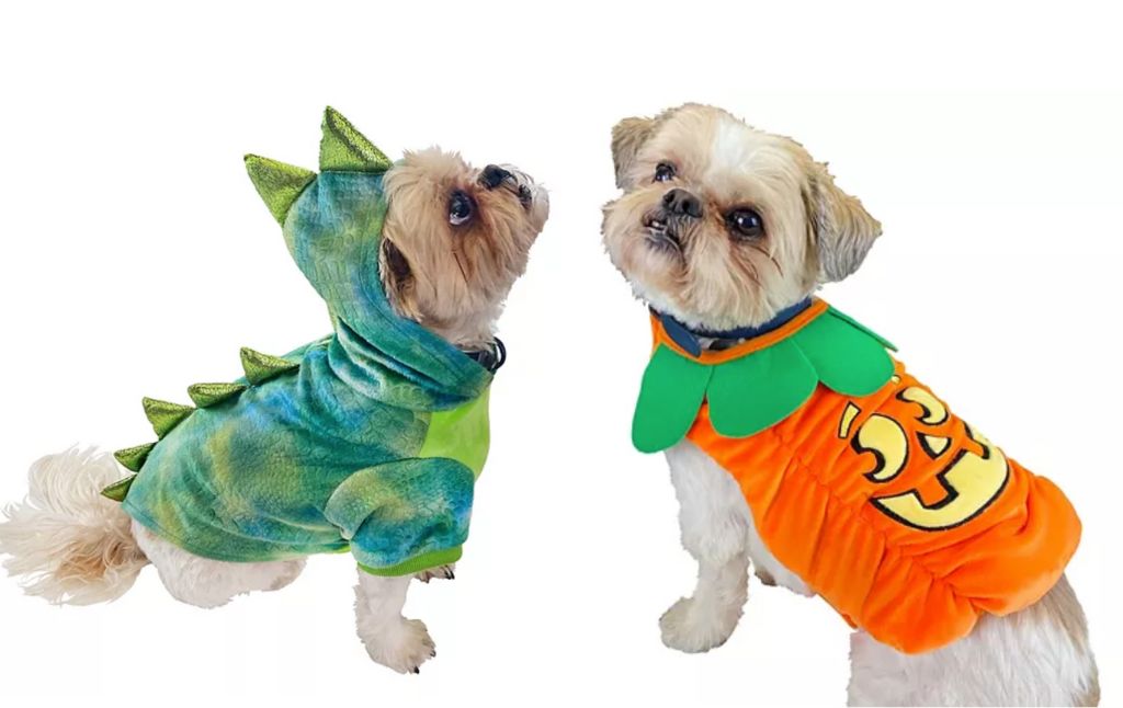 pet costumes