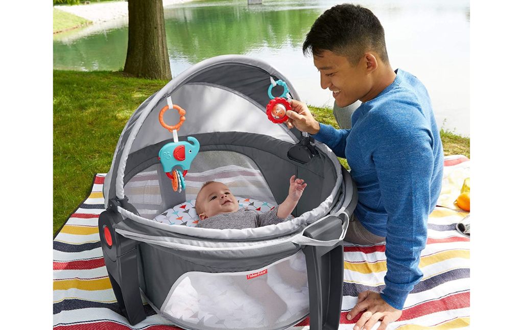 Fisher Price on the go baby dome