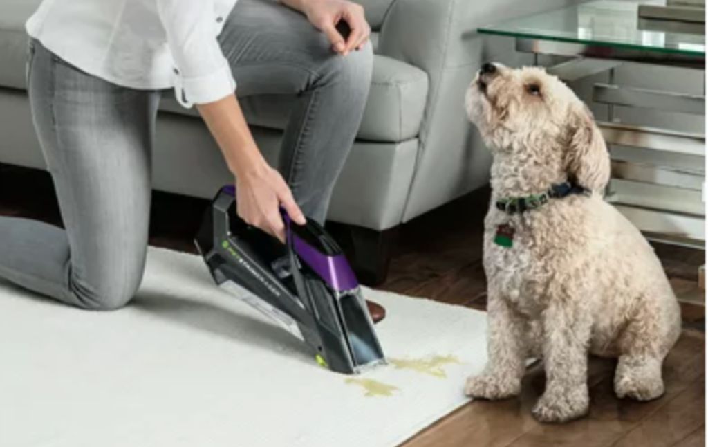 bissell pet stain remover