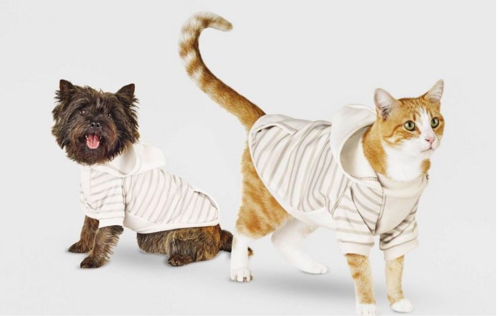 striped cat dog sweater