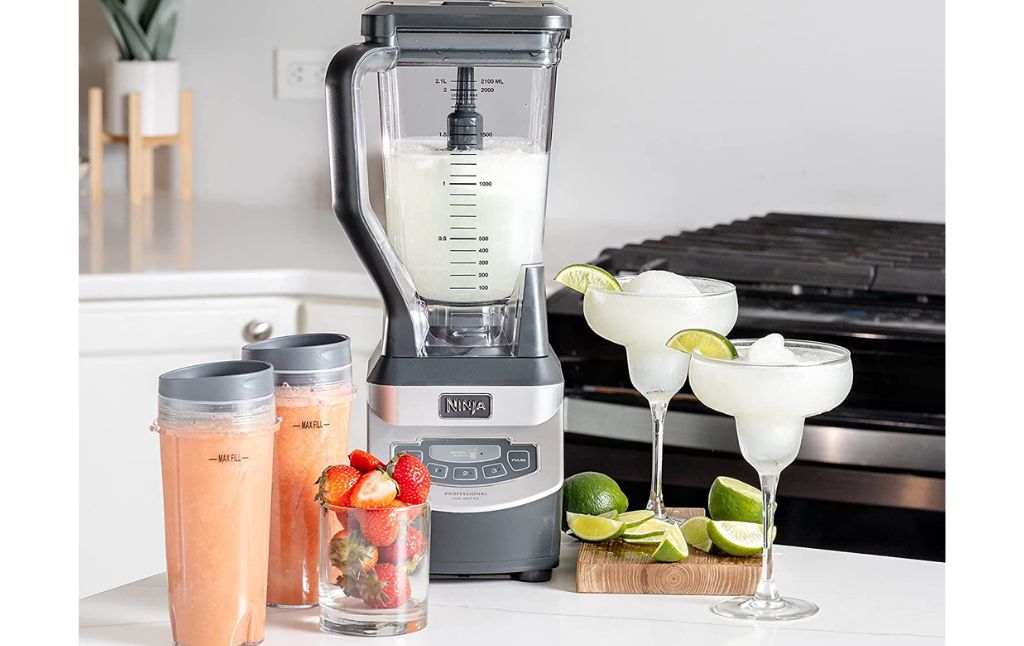 Ninja Professional Compact Smoothie and Food Processing Blender