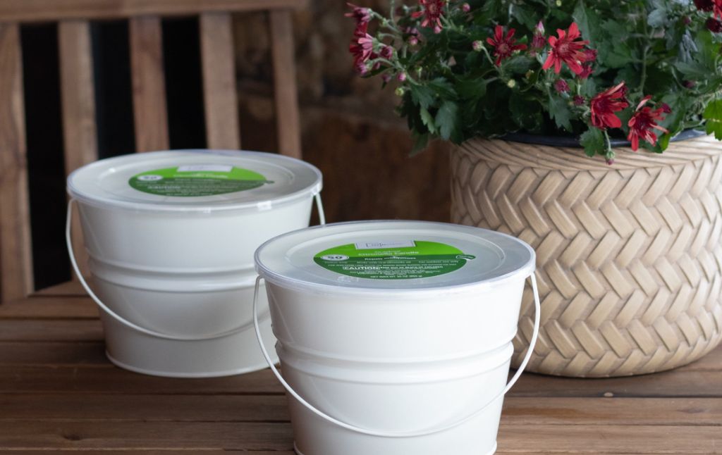 citronella candles