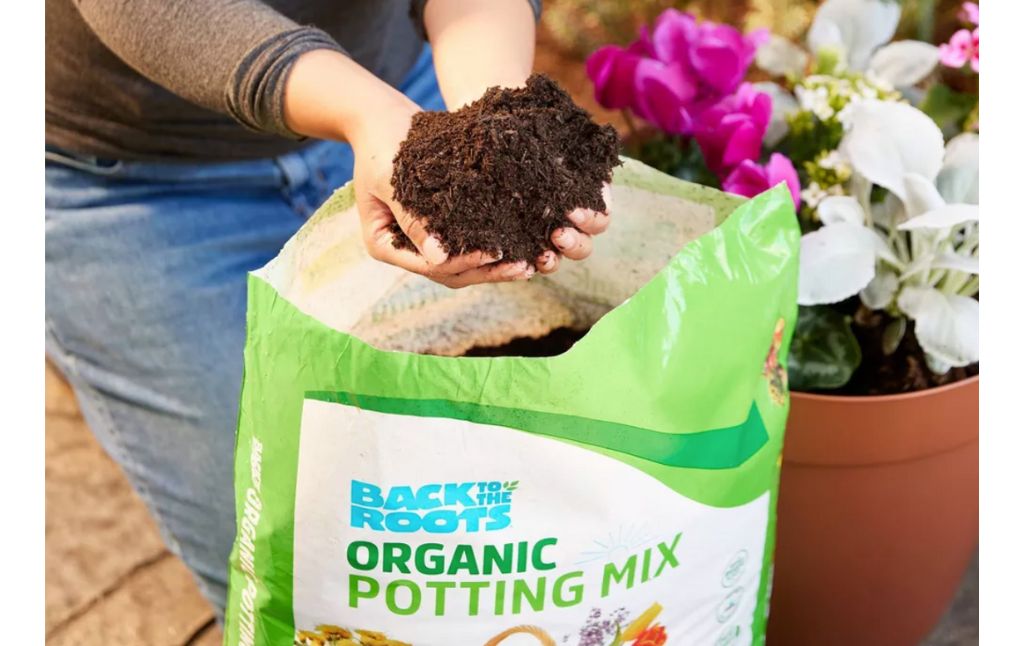 back to the roots organic potting mix