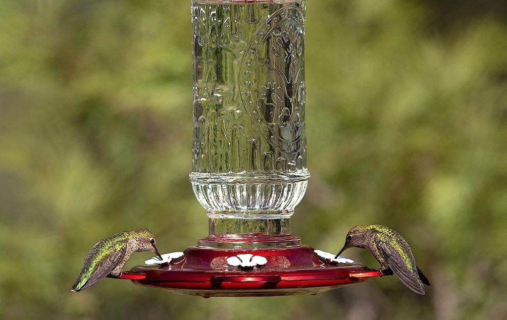 hummingbird feeder