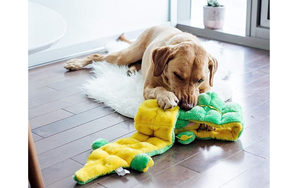 aligator dog toy