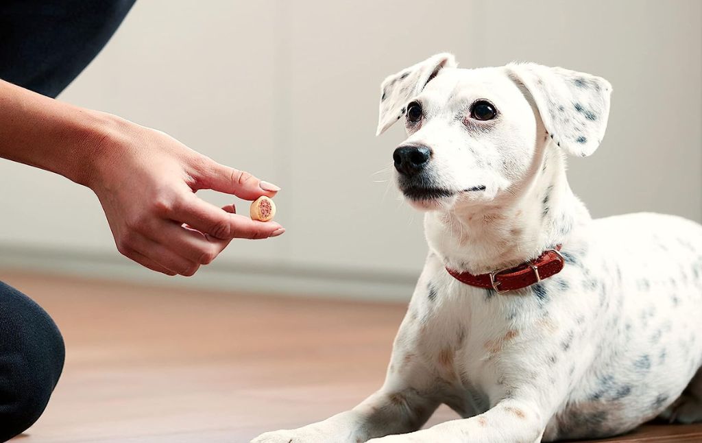 milk bone maro snacks 