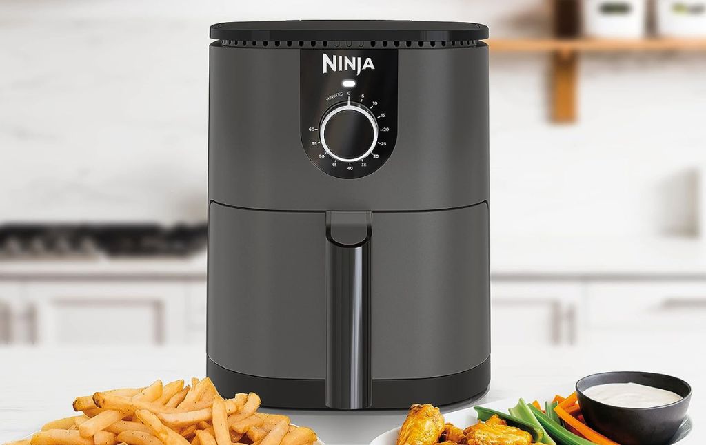 mini air fryer