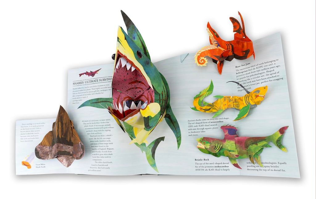 shark pop up book