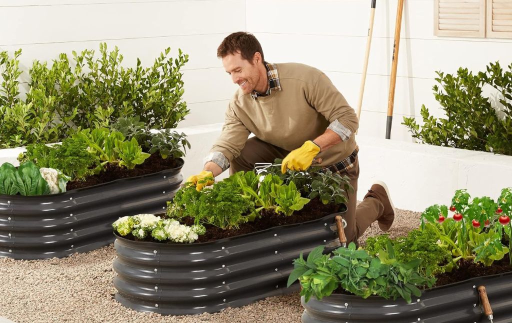 raised garden bed