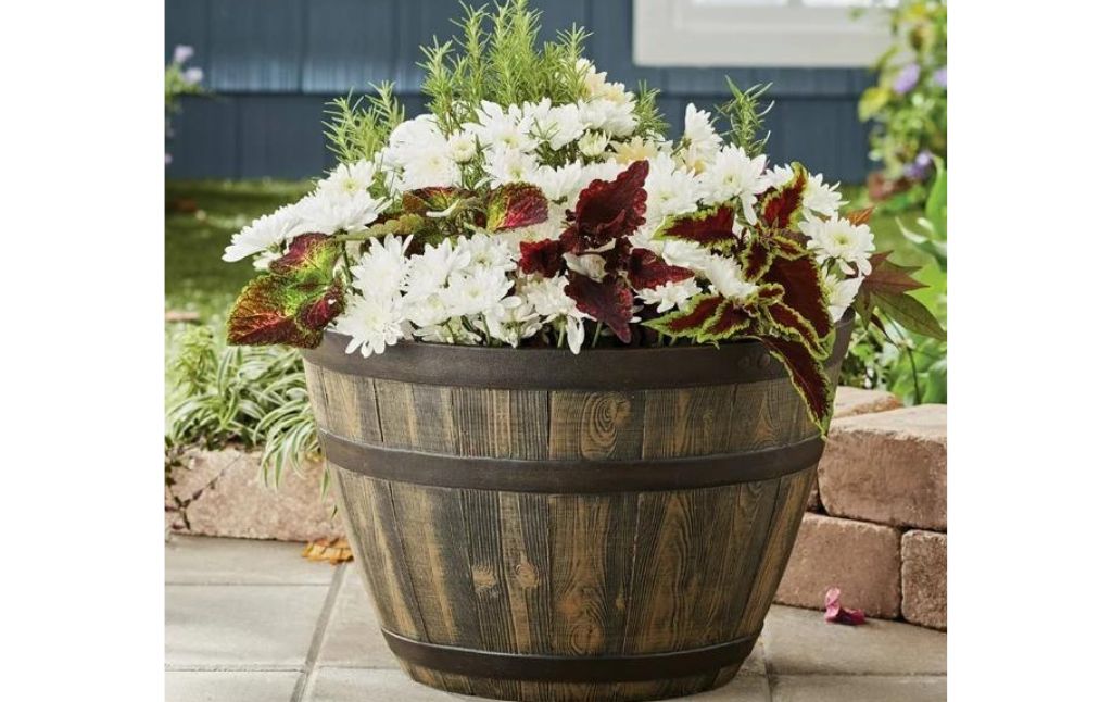 whiskey barrel planter