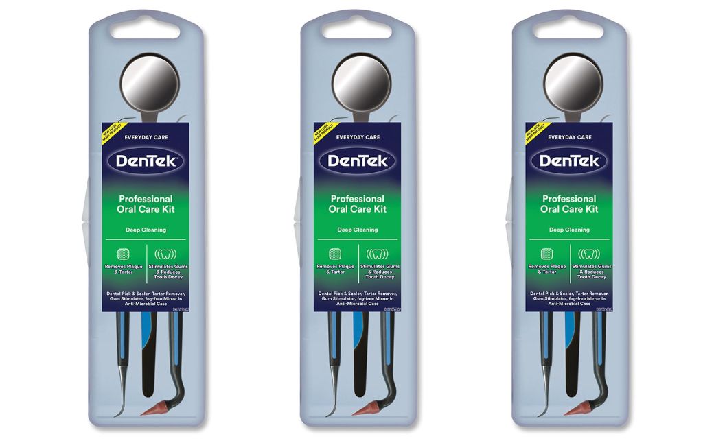 dentek oral care kit