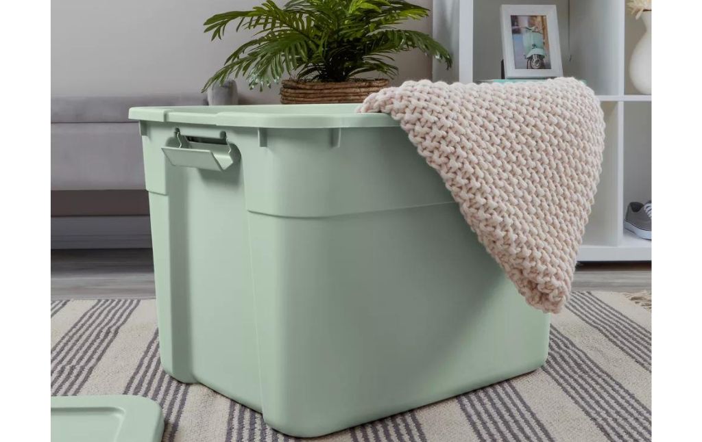 brightroom storage bin